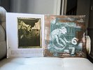 (2) Pixies LPs on 180 gram Black Vinyl / Records include Surfer Rosa & Doolittle
