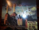 PINK FLOYD / ANIMALS / MINI LP / CD