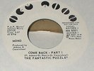 NORTHERN GROUP SOUL Fantastic Puzzles Come back 45 New Moon dj Mono Stereo NM-