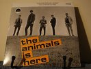 The Animals Is Here 10