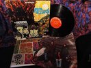 1967 Orig THE SEEDS   FUTURE Psych Garage FLOWER POWER = ACID PSYCHEDELIC LP