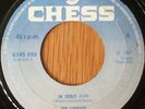 Joy Lovejoy-In Orbit 7