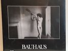 Bauhaus - In the Flat Field - Remastered Vinyl 4AD  Tones On Tail Peter Murphy