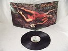 ROXY MUSIC STRANDED - ISLAND PINK RIM UK PRESS - SUPERB COVER, FULLY PLAY-GRADED