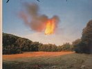 Tuxedomoon Holy Wars Cramboy Vinyl LP