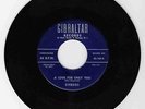 DOO WOP 45 THE STEREOS A LOVE FOR ONLY YOU ON GIBRALTAR VG ORIGINAL