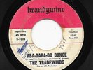 garage frat surf TRADEWINDS Aba-Daba-Do Dance BRANDYWINE demented pounder  HEAR