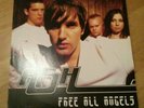 Ash - Free all Angels, LP Vinyl 2x 12