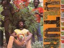 Culture International Herb NEAR MINT Virgin Vinyl LP
