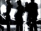 Toxoplasma [Vinyl New]