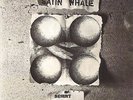 satin whale - desert places  ( D  1974 ) brain label - vinyl re-release
