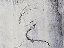 Impressions [VINYL] Lunatic Soul Vinyl