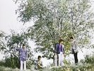 There Are But Four Small Faces LP