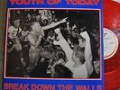  Youth of Today Break Down The Walls Wishingwell Red Vinyl WW4 Insert