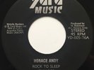 Horace Andy 