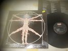LEEWAY / BORN TO EXPIRE / RARE METAL  N/MINT