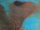 PINK FLOYD - Meddle - RED Vinyl LP - Replica of Japanese press with POSTER - new