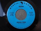 FLESH Break Free MYSTIC SOUND M-503 45 private CA hard rock psych VG+