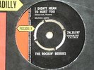THE ROCKIN' BERRIES - I DIDN'T MEAN TO HURT YOU - 7