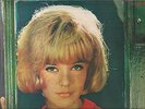 SYLVIE VARTAN-33 T. VINYLES MADE IN CHILI 
