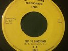 B.B. Trip To Bandstand/Electrode 45 Cover Memphis rockabilly surf hear Hombres