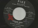 ROCKABILLY--DICKIE GARLAND-- SHAKE BOP --HEAR BOTH- 1961 BAKERSFIELD PIKE