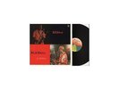 LP Dewey Redman & Ed Blackwell - In Willisau