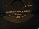 Ty Hunter - Something like a storm / Bad loser dj copy