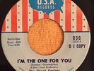 The Great Society USA 856  Garage Fuzz 45 I'm The One For You DJ Promo