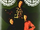 The Jimi Hendrix Experience Are You Experienced Vinyl Lp Record