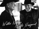 Willie Nelson & Merle Haggard - Django and Jimmie 2 x Vinyl LP (MOVLP 1499)