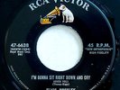 RCA VICTOR 6638 Elvis RARE/NEW orig Rockabilly 45 Near Mint I'm Gonna Sit Right