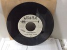 Garage Psych 45 The Flower Power 