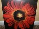 WARHORSE  The Priestess LP Red Colored Wax 2000 RARE HTF OOP NM+/MINT DOOM METAL
