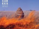 THE MACCABEES GIVEN TO THE WILD 2 X LP UK ORIGINAL TRI-FOLD