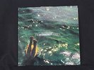 Hans-Joachim Roedelius - Durch die Wuste - LP Vinyl Record 1978 Sky 014 Mint