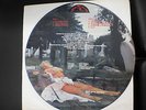 WITCHFINDER GENERAL - Death Penalty, Picture LP, Bildplatte, original HMR PD8