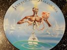 RARE  IRON MAIDEN PICTURE DISC  SEVENTH SON OF A SEVENTH SON  1988  LTD EDITION