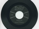 DRIVIN DYNAMICS   Hurt Me/So Fine   TX garage/Randy Meisner   SULLY