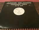 Junior Delgado Hanging Tree Killer Digi 12