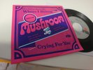 MUSHROOM-WHERE I BELONG ARIOLA DUTCH PSYCH FUZZ KILLER 7
