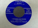 connie mcgill i wanna be yours northern crossover modern funk rare d