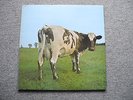 Pink Floyd, vinyl,Obscured by clouds,Meddle,Wish you were here,ummagumma,Atom