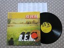 R.E.M Reveal ORIGINAL US LP SHRINK