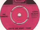THE SORROWS - YOU'VE GOT WHAT I WANT c/w NO NO NO NO - 1965 PICCADILLY  STUNNING