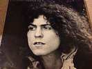 Tyrannosaurus Rex (T Rex) - Beard of Stars - UK Regal Zonophone LP and insert