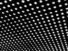 Beach House- Bloom Vinyl Record