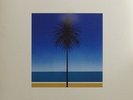 Metronomy The English Riviera Vinyl LP New