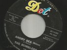 ROCKABILLY SURF + BIZARRE EXOTICA INSTROS --RUMBLERS- ANGRY SEA -- HEAR -DOT