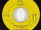 Lloyd Williams 